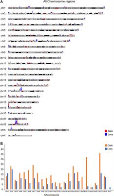 Copy Number Variation Analysis of Euploid Pregnancy Loss